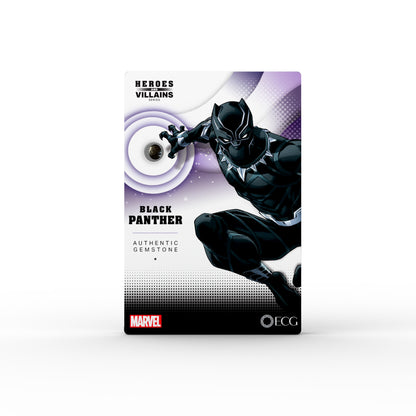 Heroes and Villains Black Panther